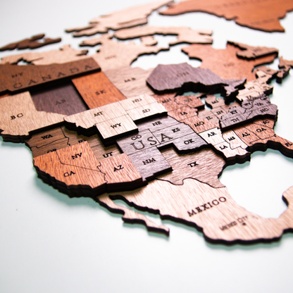 Framed Wooden World Map