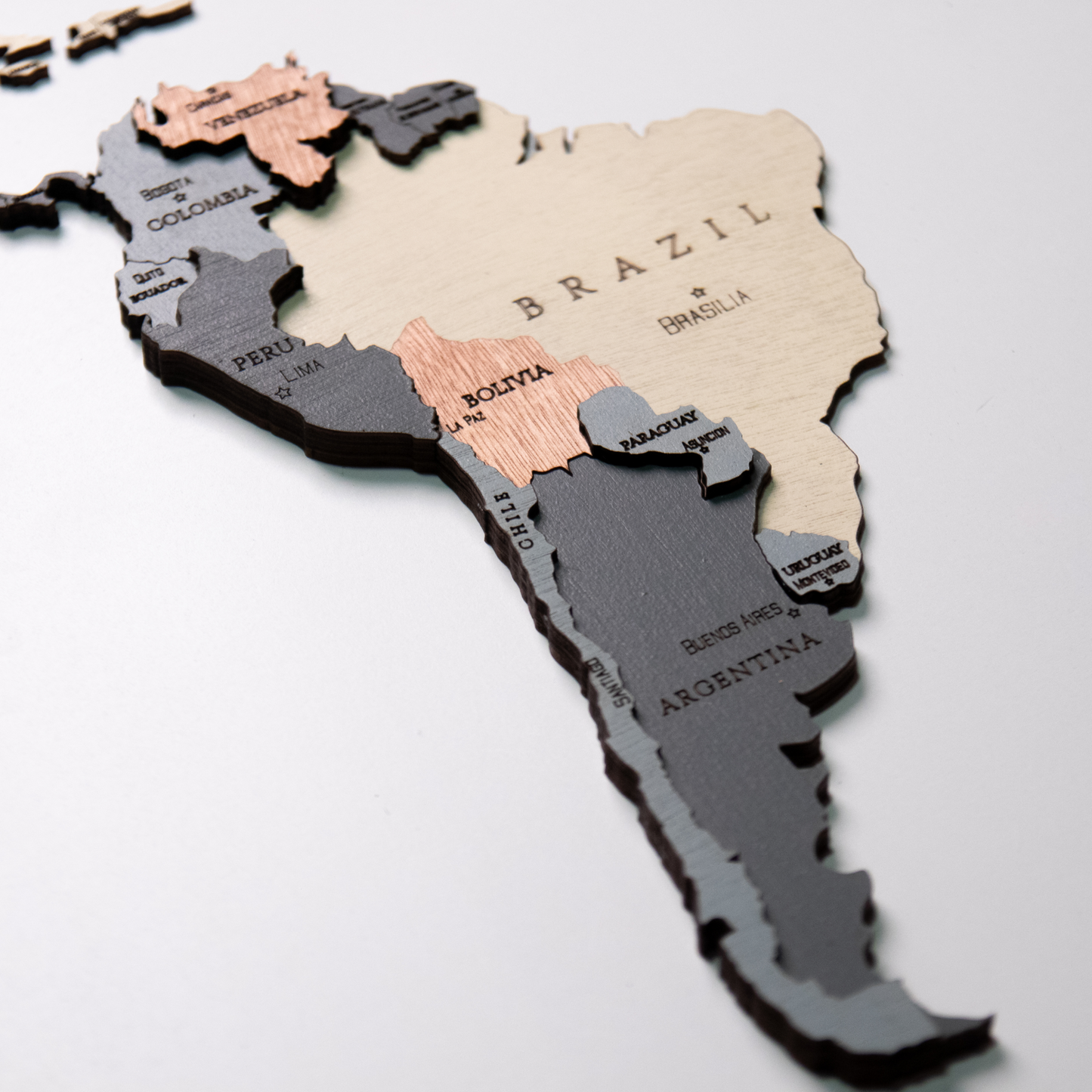 Framed Wooden World Map
