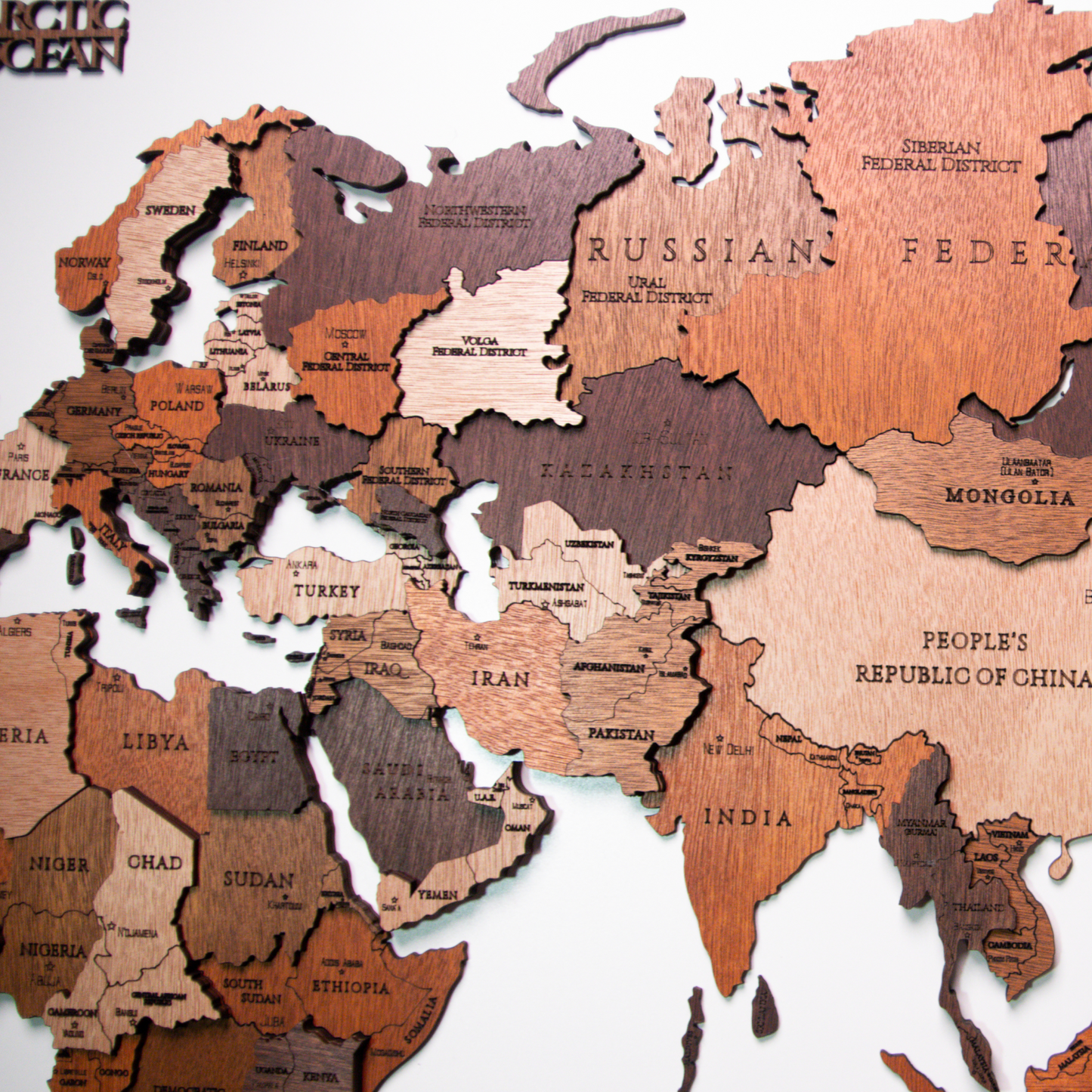 Framed Wooden World Map
